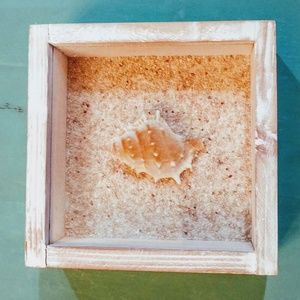 Homemade beach themed shadow box